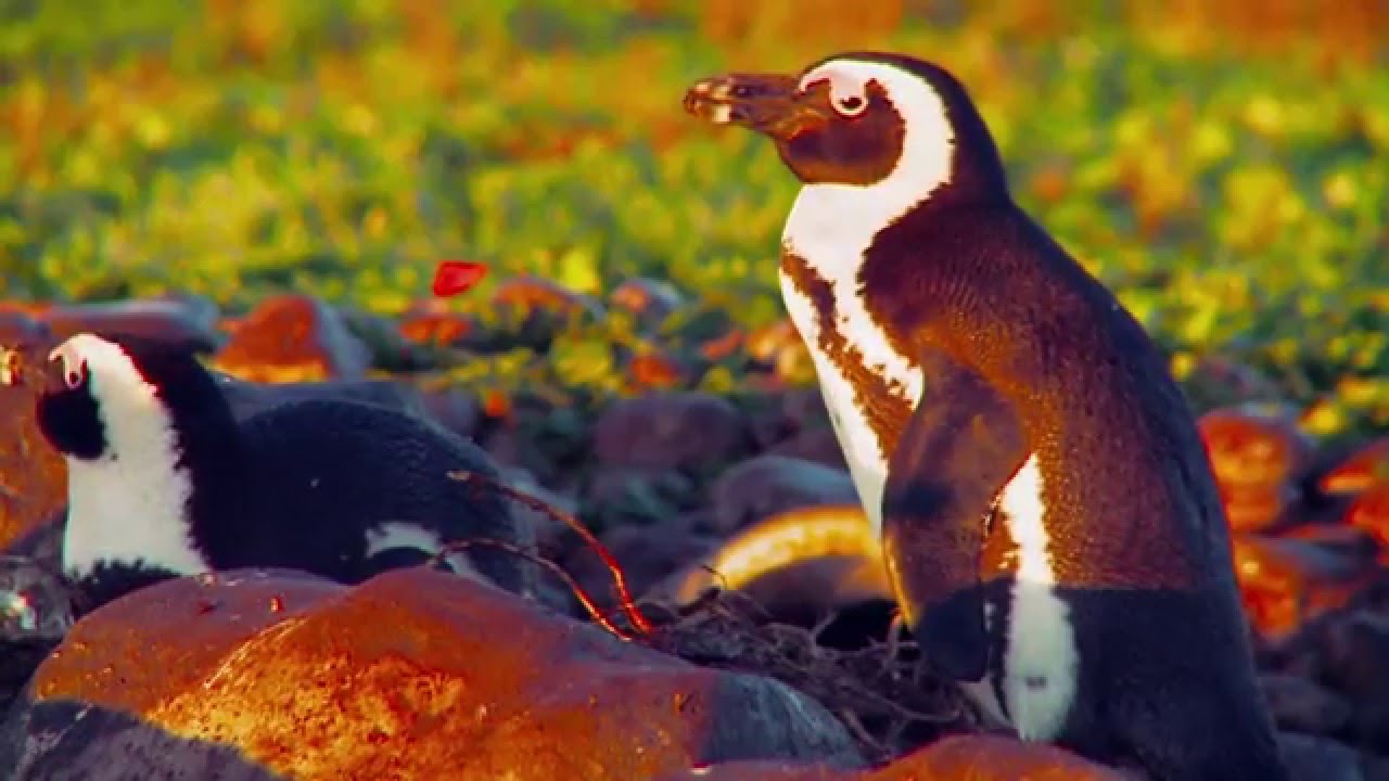 Responsible Tourism Cape Town