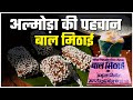 Bal Mithai बाल मिठाई Almora Ki Famous Bal Mithai Singhori Almora Uttarakhand CheckIn
