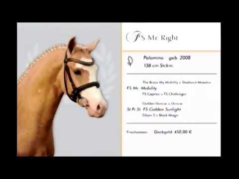 FS Mr. Right | Ferienhof Stücker