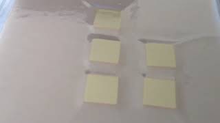 Zinc selenide slides for microarray printing of bacteria sales@dmphotonics.com