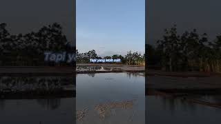 Download lagu Mencari seseorang yang setia #quotes #kejujuran #kesetiaan mp3 Download lagu Mencari seseorang yang setia #quotes #kejujuran #kesetiaan mp3