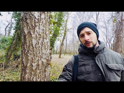 Quando il veleno striscia a bambini Come liberarsi da parassiti in un organismo per mezzo di aglio