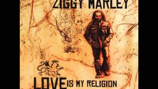 Ziggy Marley - "Black Cat" | Love Is My Religion