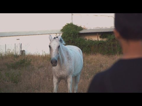 La boleca & Jero flow - VENENO BLANCO (Videoclip oficial)