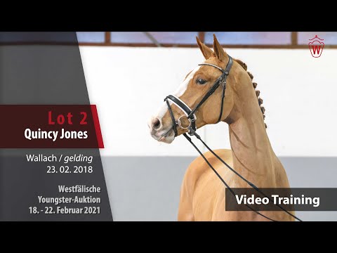 Youngster Auktion 18. - 22. Februar 2021 Training Lot 2 Quincy Jones v. Quantensprung - Danone I