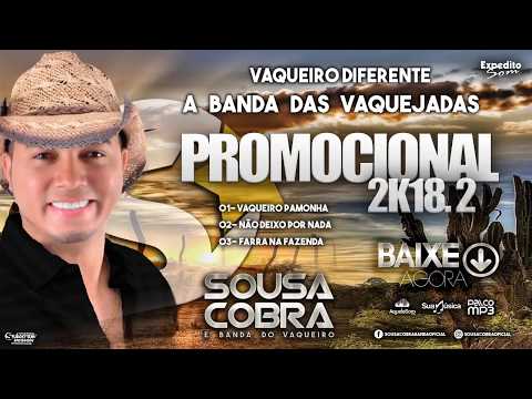Sou Vaqueiro, Sou Peão e Quero Ela - Single by Sousa Cobra Oficial