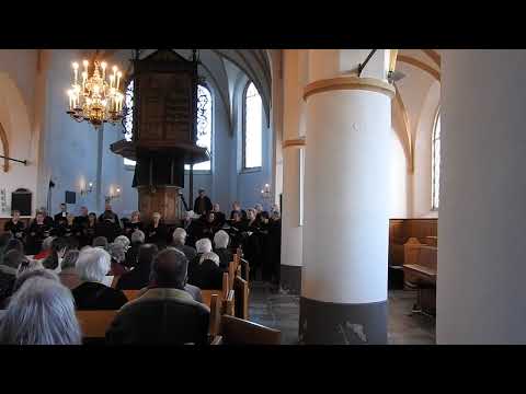 Marcantus Vocaal Ensemble Culemborg,. Mariaconcert 12-01-2025, na de pauze