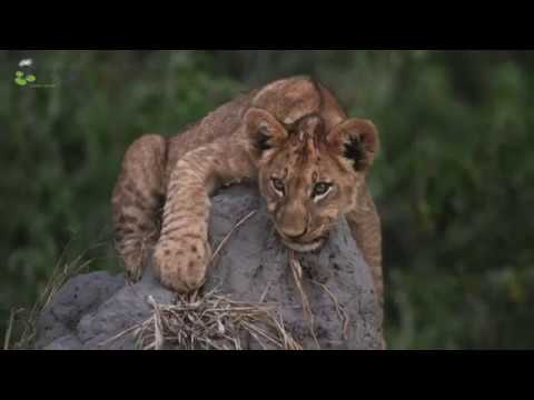 Wild Waters group of Lodges - Namibia