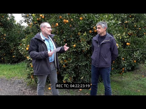 video media thumbnail