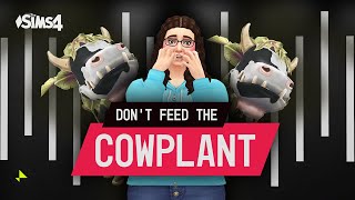 SweetGinx Takes On The Challenge! | Don't Feed The Cowplant - The Sims 4 Game Show