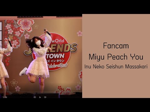 [4KFancam] Miyu Peach You - Inu Neko Seishun Massakari @J-TRENDS in TOWN Love Celebration