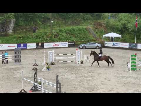 SG’s Diamant 2013 stallion Diarado-Love 2U2