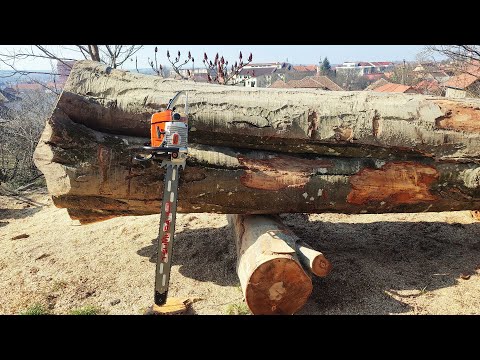 29 years old Legend - Stihl 064