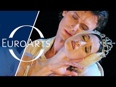 Great Dancers of Our Time: Vladimir Malakhov, Lucia Lacarra & Kiyoko Kimura (2003)