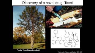 Drew Sieg with power points