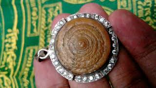 Bumifuzziblog Khasiat Batu Puser Bumi Coklat
