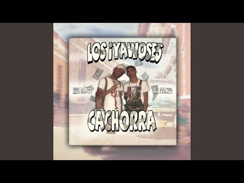 Cachorra (feat. El Iyawo)