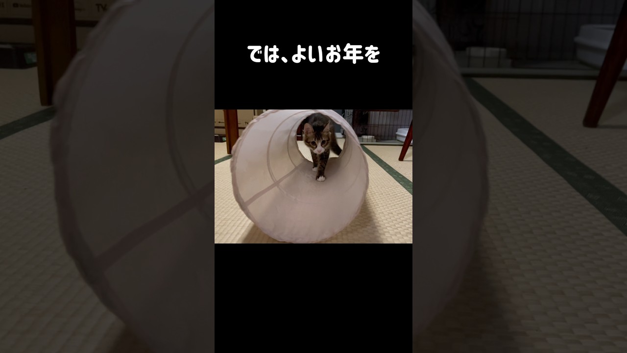 1年間ありがとうございました。2025年もあと少し、最後の最後におもしろネタがあしました！！