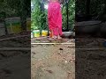 Desi Village Bathing Daily Vlog Is Live