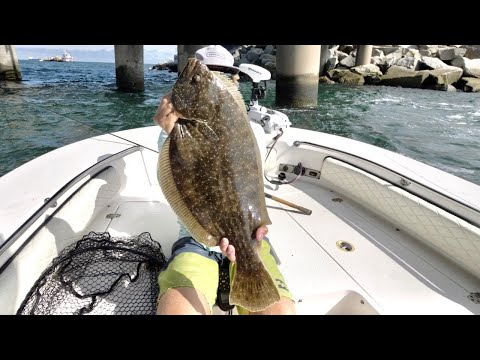 CATCHING THE BRIDGE MONSTER! HOW TO Catch GIANT FLOUNDER with LIVE MULLET
