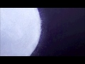 -sugar moon-