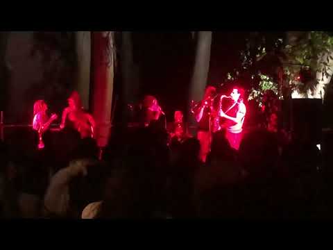 Puppa Giallo & Friends - Mescola - 2024 06 14