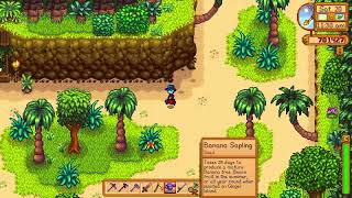 How to get Banana Saplings so you can grow Bananas - Stardew Valley 1.5