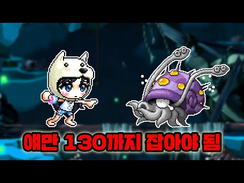 수많은 허밋들이 폐사하는 이유