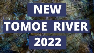 The New Tomoe River Paper 2022 called the  Success