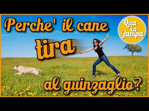 Degenerative lesioni distrofiche della colonna vertebrale toracica cervicale Se è possibile trattare osteocondrosi cervicale Menovazin