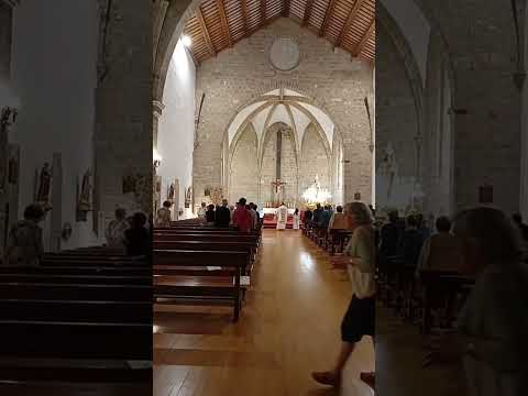 6 de octubre de 2025 Virgen De Los Remedios