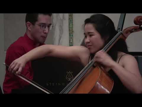 Merz Trio performs Brahms Piano Trio in B major, Op. 8, IV. Finale: Allegro