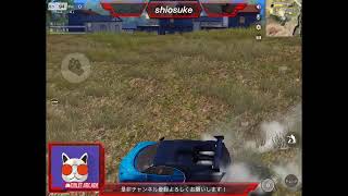 ゲリラ配信
