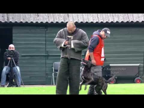 KNPV Keuring Horst  04 -  10 -  2015