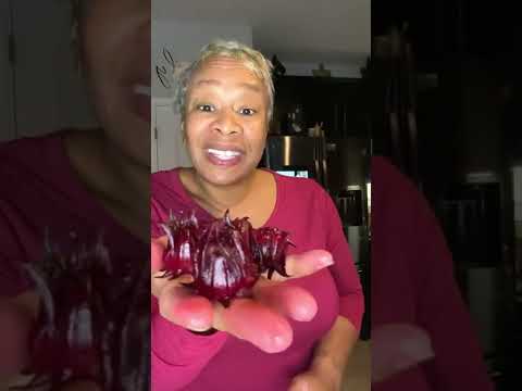 Roselle Hibiscus - Beautiful and delicious! #sorrel #rosella #rosellehibiscus #sanantoniotx  #calyx