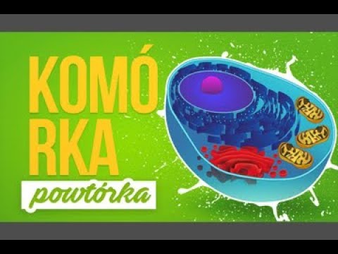 Komórka - Błona komórkowa i ściana komórkowa - Powtórka z biologii