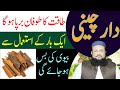 Daar Cheeni Ke Fawaid Cinnamon Benefits Urdu Hindi Hakeem Mehmood Tohidee