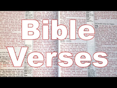 Bible Verses (312)