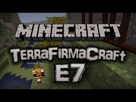 Minecraft - TerraFirmaCraft w/ Friends - E7 :: "Kitchen Interior"