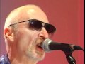 Temporary Beauty performed by Graham Parker