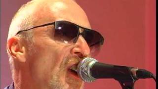 Temporary Beauty performed by Graham Parker