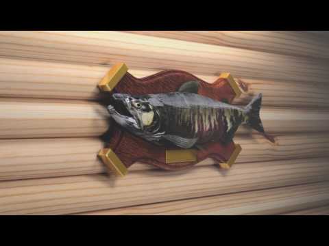 MainStream Fishing Video