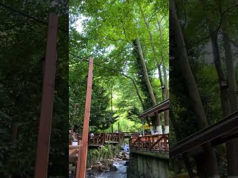 Maşukiye Şelalesi ve Gurme Restoranlar Kartepe Kocaeli
