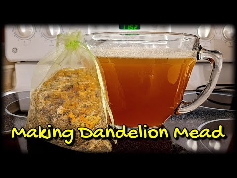 Making Dandelion Mead - The Beginnings of a long Process #howto #garden #homemade