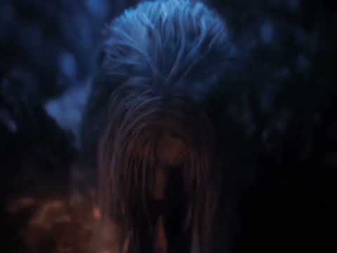 Moves shots chlip video