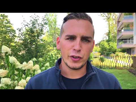 Gartentipp 6: Lavendel schneiden - Allmig, Alfred Müller AG