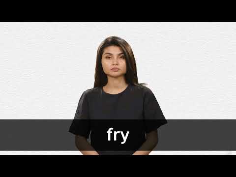 FRY Definition & Translations Collins English Dictionary