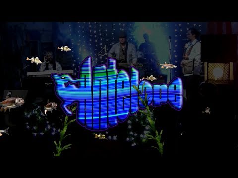 Antelope - Dec 16, 2017 - Crosseyed And Painless