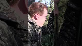 Damhirschjagd zur Brunft 🦌 Der erste mehrjährige Hirsch von  ⁨@jagdkrone⁩