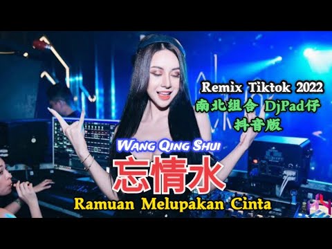 南北组合 - 忘情水 Wang Qing Shui【Ramuan Melupakan Cinta】DjPad仔 抖音版 Remix Tiktok 2022 - Translated Indonesia